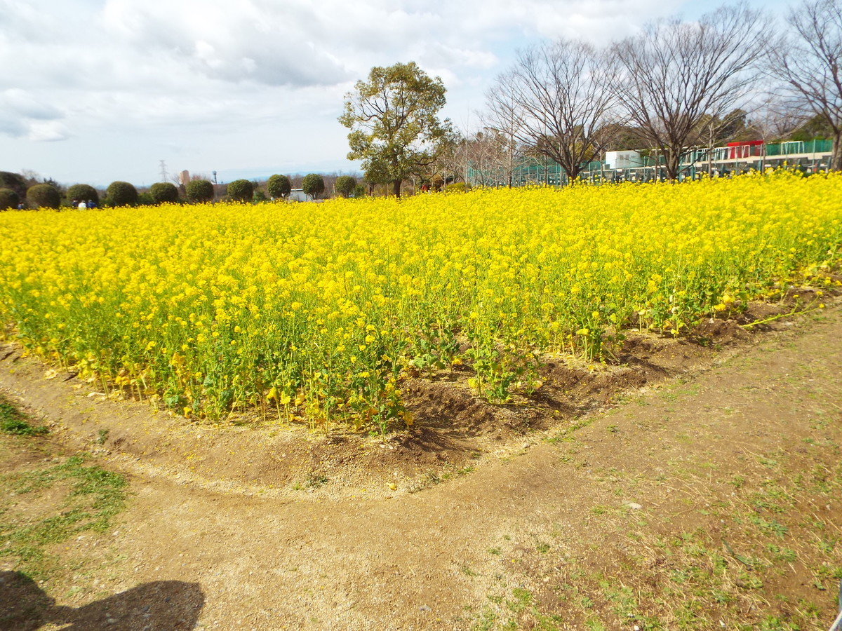 f:id:aigawa2007:20220320121403j:plain