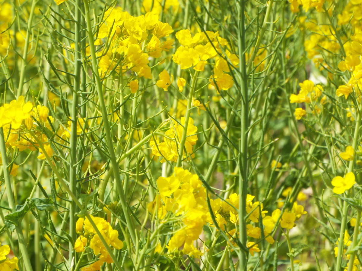 f:id:aigawa2007:20220320121422j:plain