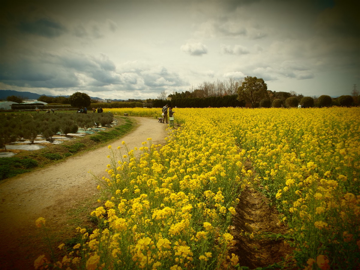 f:id:aigawa2007:20220320121514j:plain