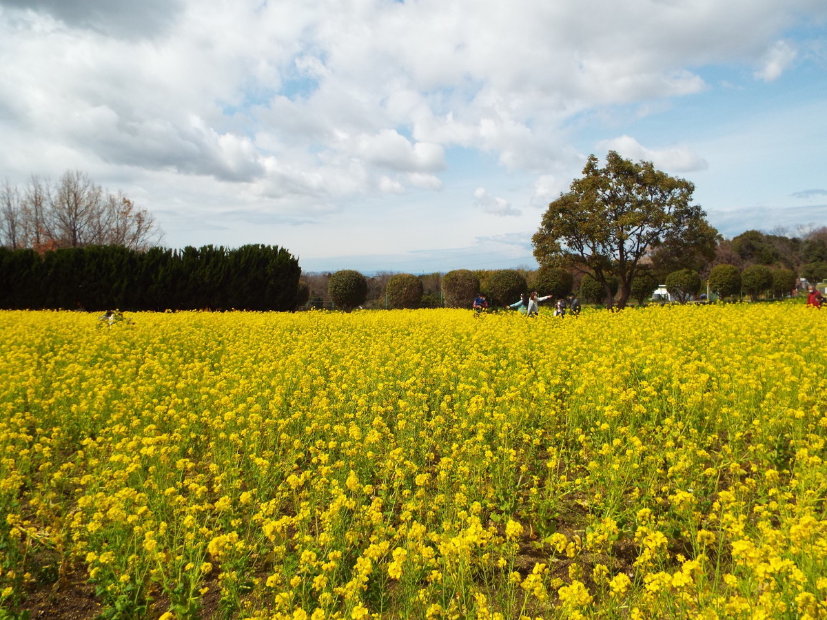 f:id:aigawa2007:20220320121649j:plain