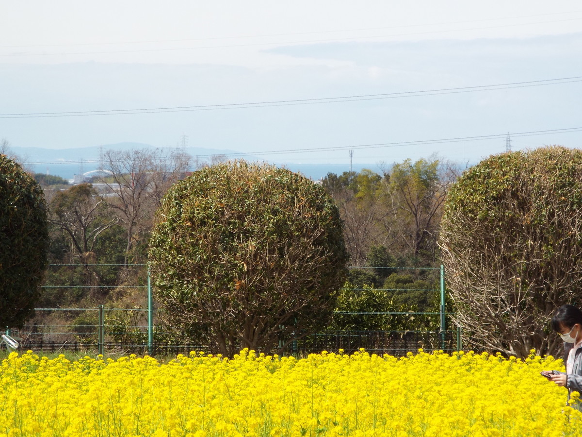 f:id:aigawa2007:20220320121656j:plain