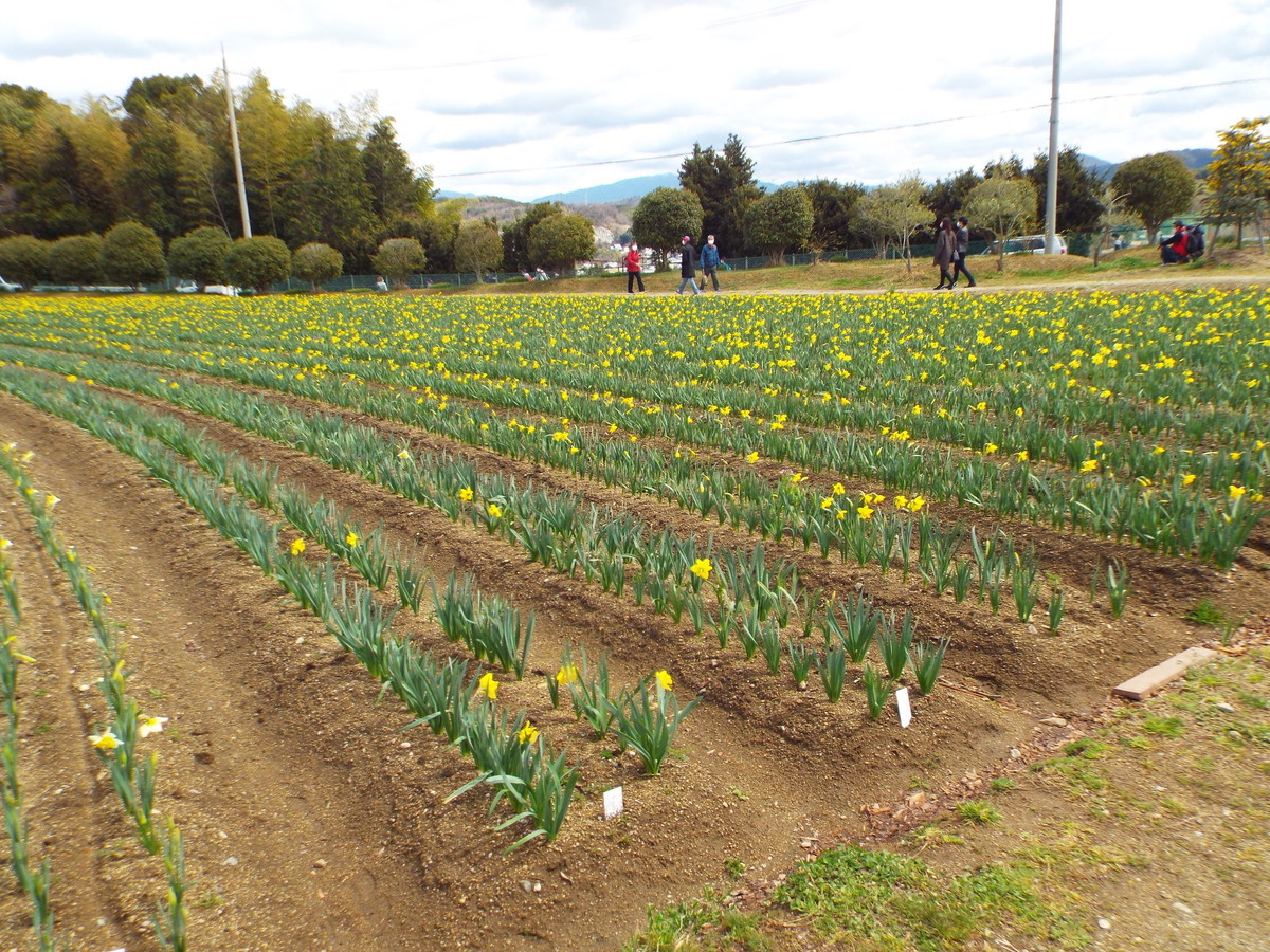 f:id:aigawa2007:20220320122425j:plain