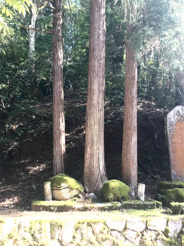 f:id:aihanum:20181017144911j:image f:id:aihanum:20181017144911j:image