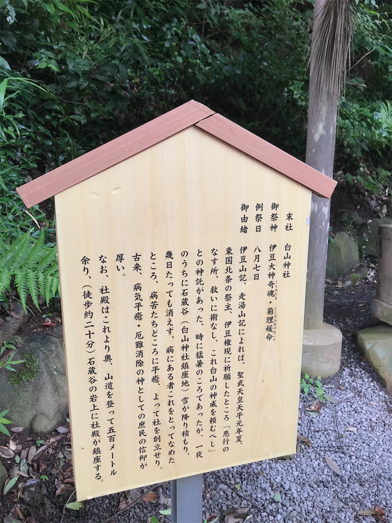 f:id:aihanum:20200722191914j:image f:id:aihanum:20200722191914j:image