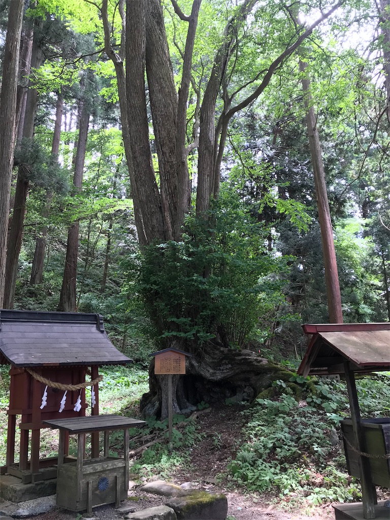 f:id:aihanum:20201124190023j:image f:id:aihanum:20201124190023j:image