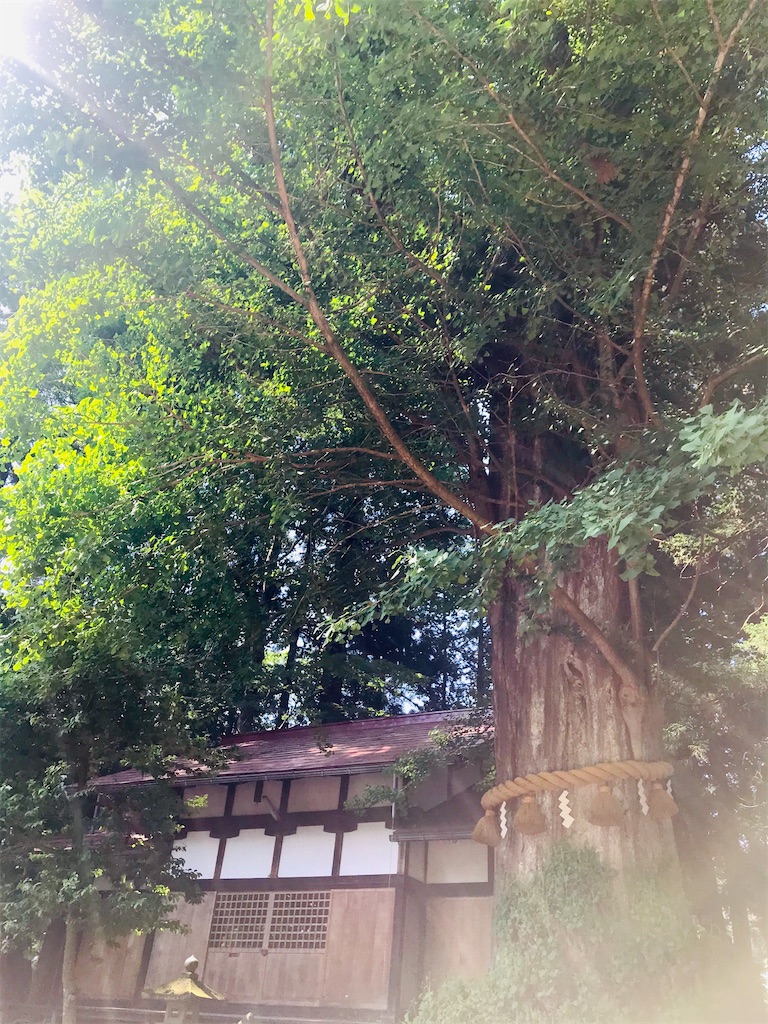 f:id:aihanum:20201124192620j:image f:id:aihanum:20201124192620j:image
