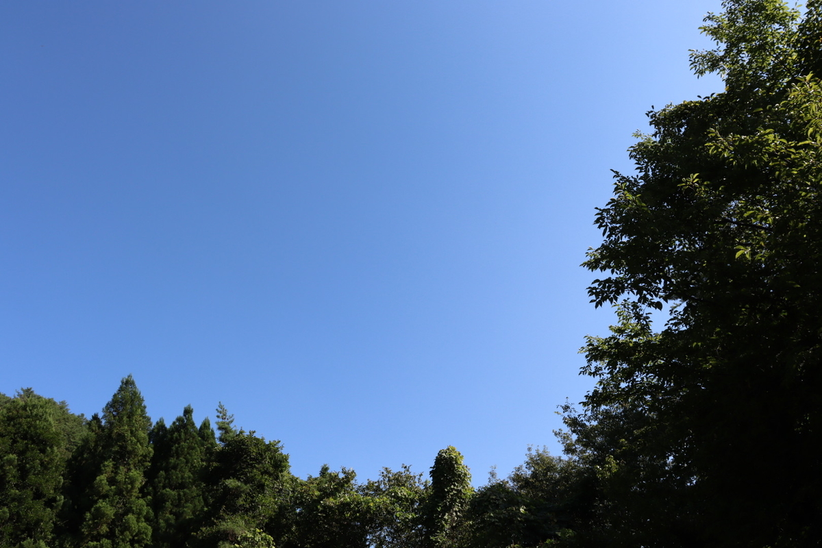 f:id:aihara_kazuki:20200908231428j:plain