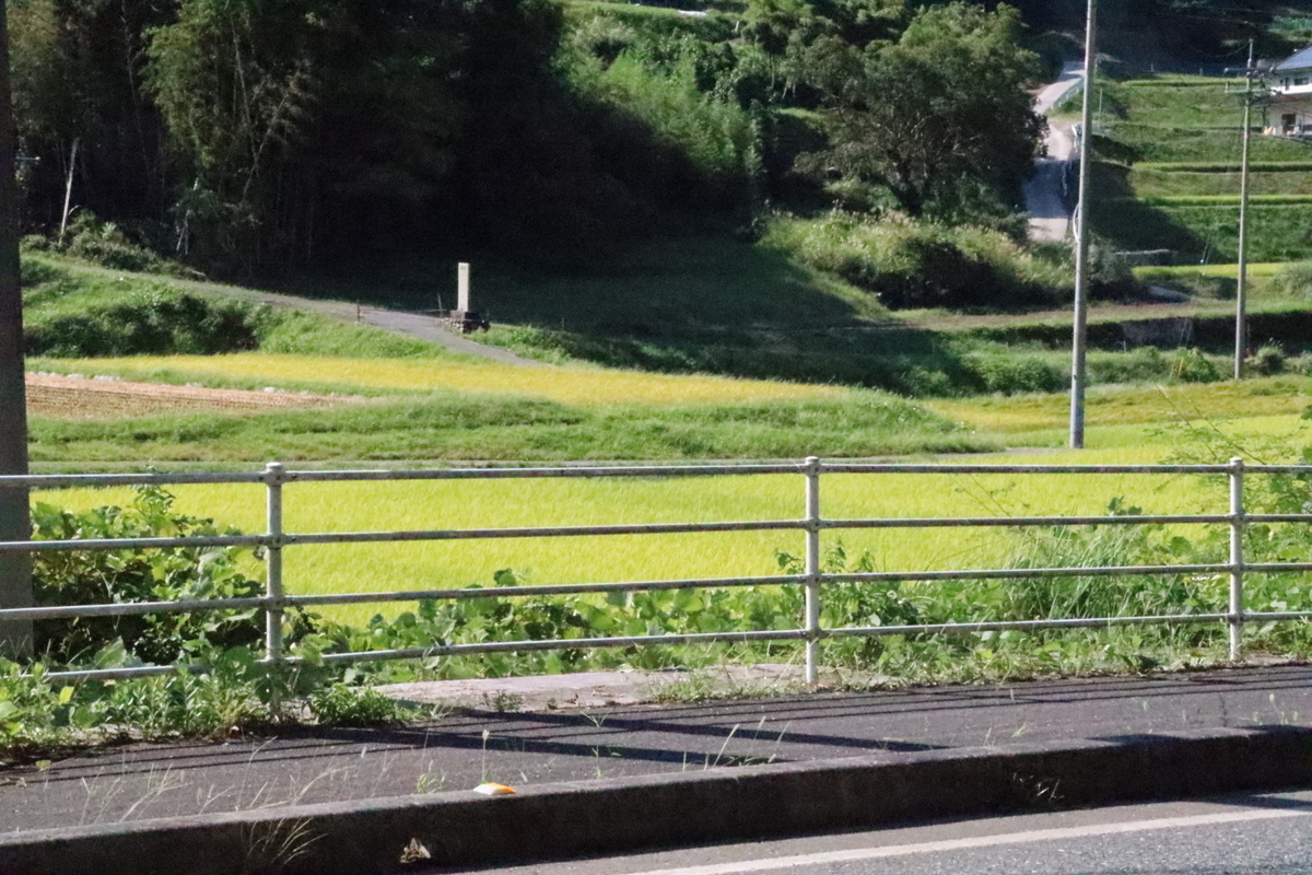 f:id:aihara_kazuki:20200908231633j:plain