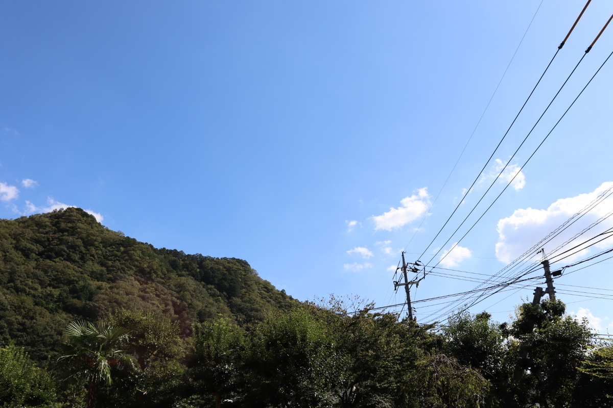 f:id:aihara_kazuki:20200916015222j:plain