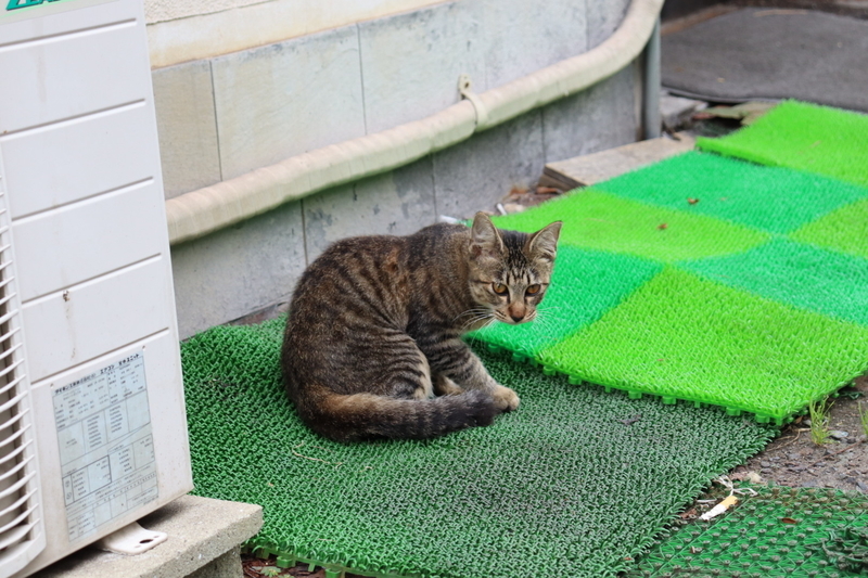 f:id:aihara_kazuki:20200924164600j:plain