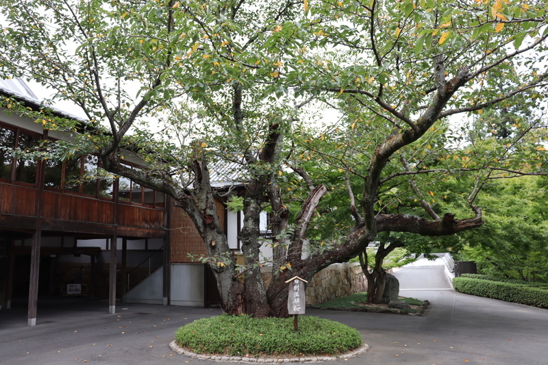 f:id:aihara_kazuki:20200924164647j:plain