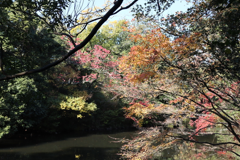 f:id:aihara_kazuki:20201206213215j:plain