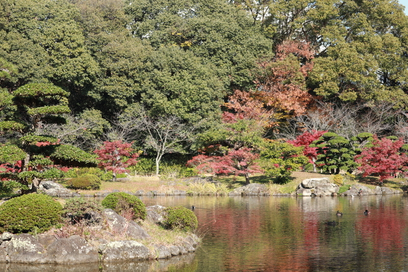 f:id:aihara_kazuki:20201206213928j:plain