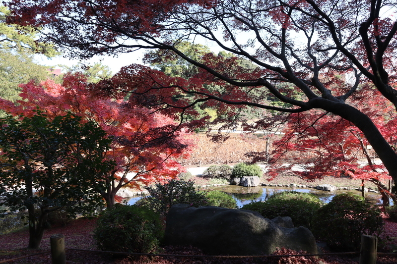 f:id:aihara_kazuki:20201206214314j:plain