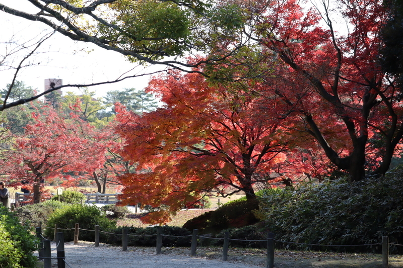 f:id:aihara_kazuki:20201206214356j:plain