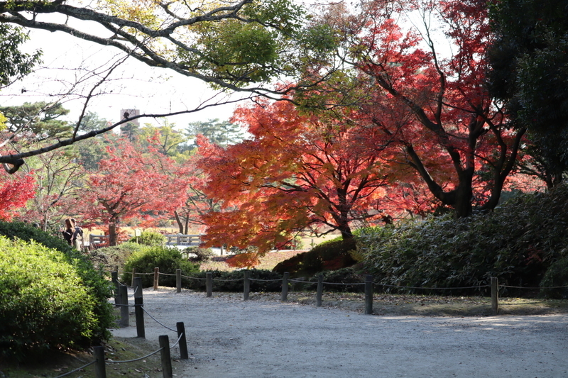 f:id:aihara_kazuki:20201206214413j:plain