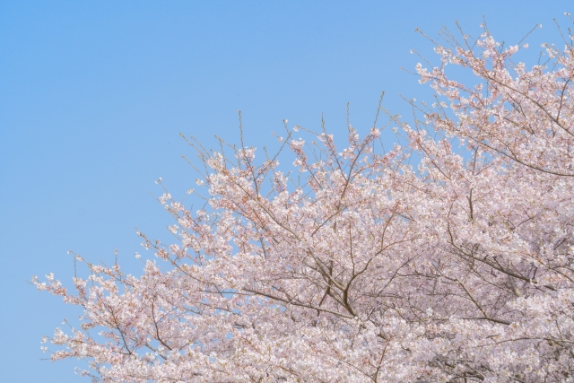 f:id:aihara_kazuki:20220123210219j:plain