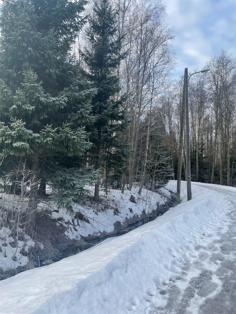 Cafe Kuusijärvi フィンランド ヴァンター サウナへの道