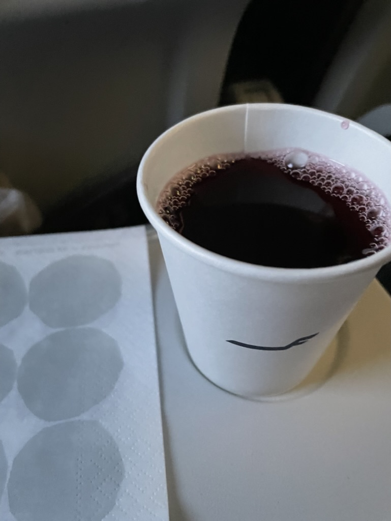 【フィンエアー航空でロヴァニエミ-ヘルシンキ便搭乗記】②AY532(ロヴァニエミ-ヘルシンキ)体験談