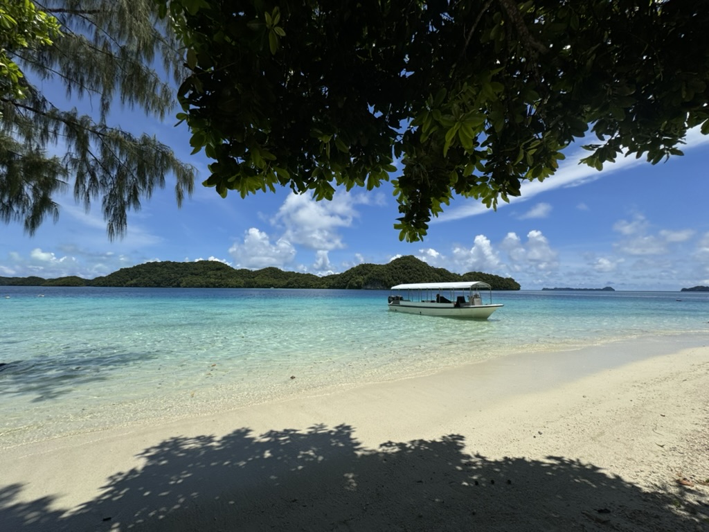 【はじめに】①パラオは旅行しやすい？どんな観光地がある？
