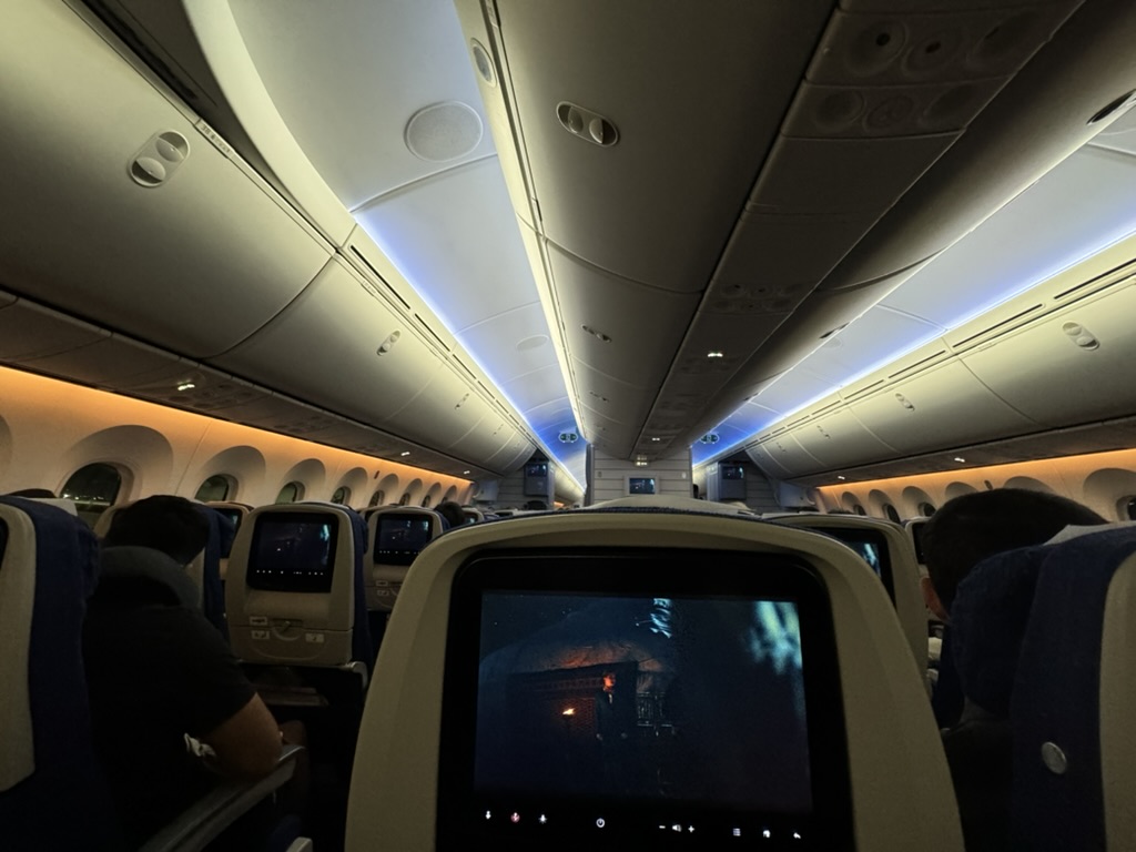 搭乗記】ウズベキスタン航空の機内食は？成田-タシュケント往復便の