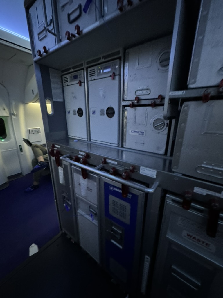 搭乗記】ウズベキスタン航空の機内食は？成田-タシュケント往復便の