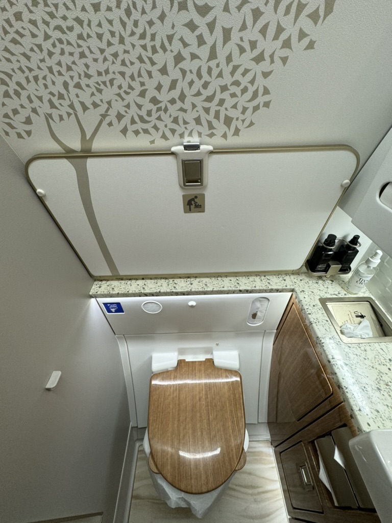 8.搭乗後・離陸前ならトイレに行っても良い