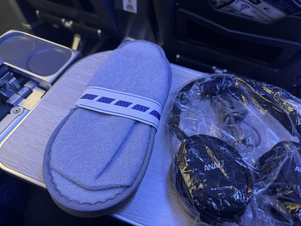 【ANA羽田〜ニューヨーク便搭乗記】②往路NH160便（羽田空港〜ジョン・F・ケネディ国際空港）体験談