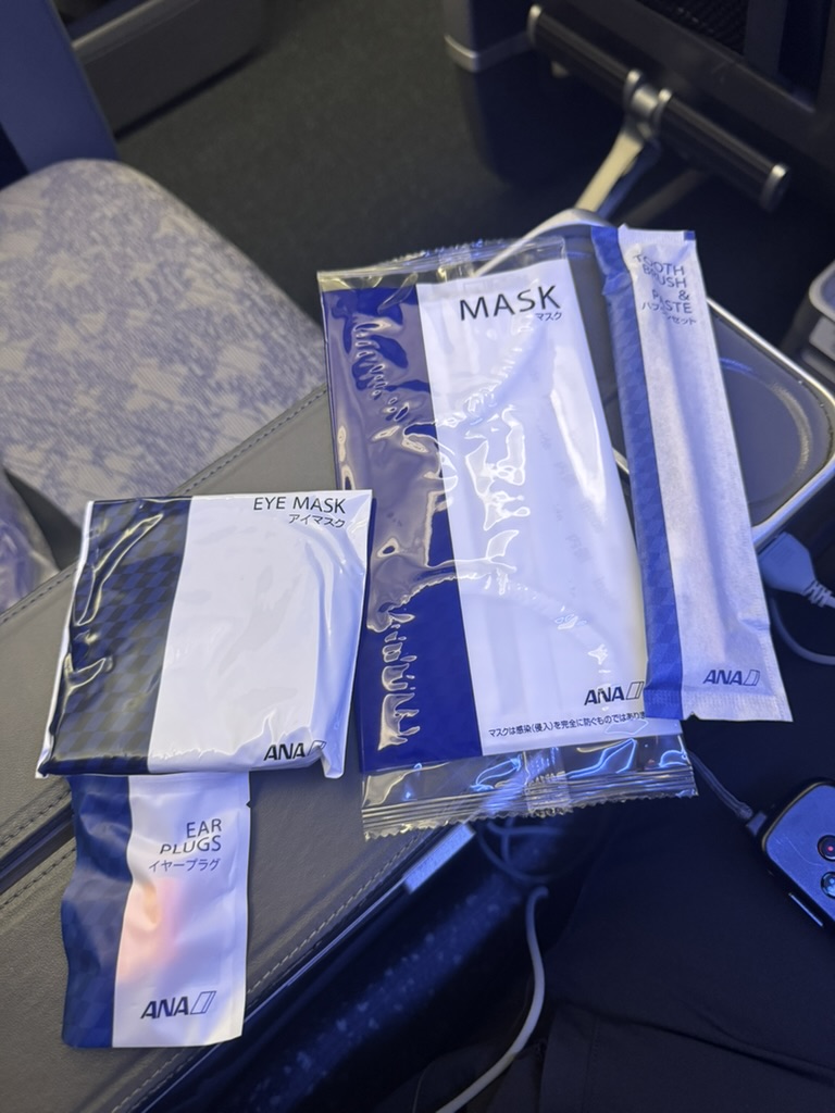 【ANA羽田〜ニューヨーク便搭乗記】②往路NH160便（羽田空港〜ジョン・F・ケネディ国際空港）体験談