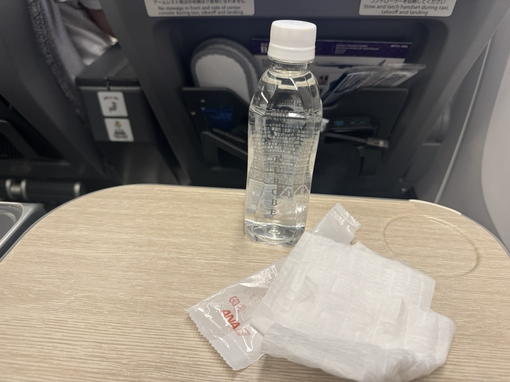 【ANA羽田〜ニューヨーク便搭乗記】②往路NH160便（羽田空港〜ジョン・F・ケネディ国際空港）体験談