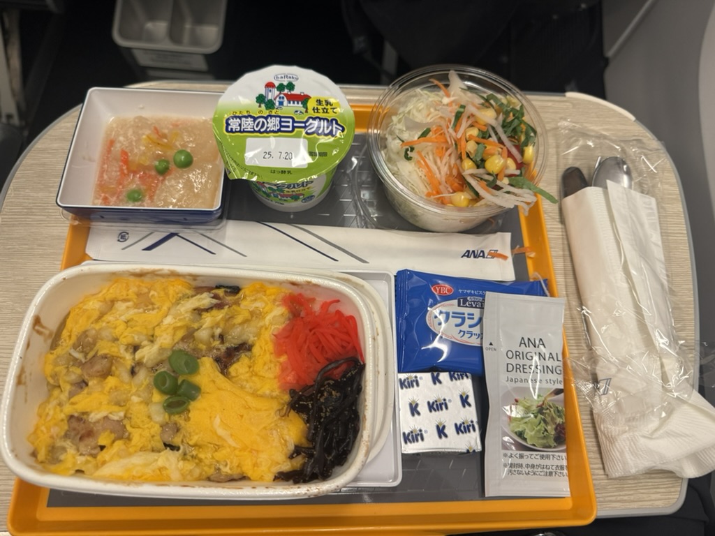 【ANA羽田〜ニューヨーク便搭乗記】②往路NH160便（羽田空港〜ジョン・F・ケネディ国際空港）体験談