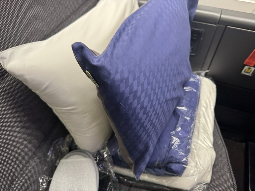 【ANAニューヨーク〜羽田便搭乗記】②復路NH159便(ジョン・F・ケネディ国際空港〜羽田空港)体験談