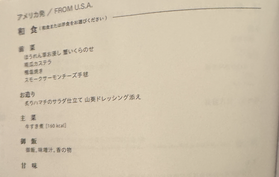 【ANAニューヨーク〜羽田便搭乗記】②復路NH159便(ジョン・F・ケネディ国際空港〜羽田空港)体験談