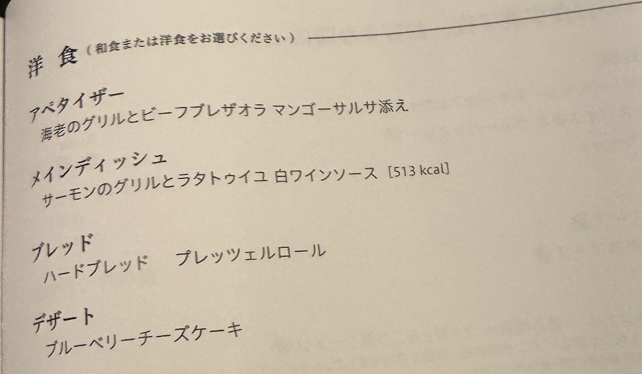【ANAニューヨーク〜羽田便搭乗記】②復路NH159便(ジョン・F・ケネディ国際空港〜羽田空港)体験談
