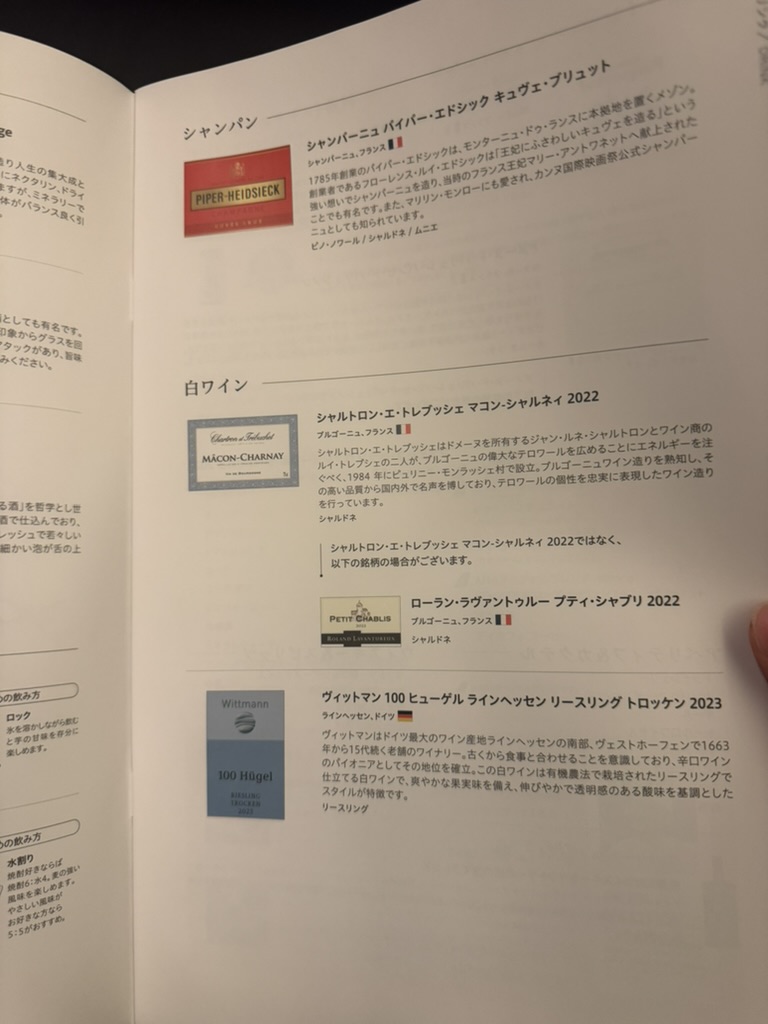 【ANAニューヨーク〜羽田便搭乗記】②復路NH159便(ジョン・F・ケネディ国際空港〜羽田空港)体験談