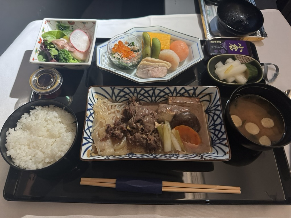 【ANAニューヨーク〜羽田便搭乗記】②復路NH159便(ジョン・F・ケネディ国際空港〜羽田空港)体験談