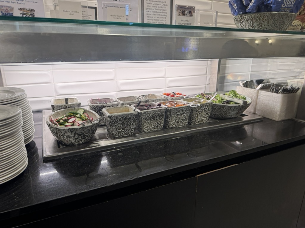 【ニューヨークJFK空港ANAラウンジ体験談】④HORIZONS T7 LOUNGEは快適？シャワーや食事・ドリンクは？