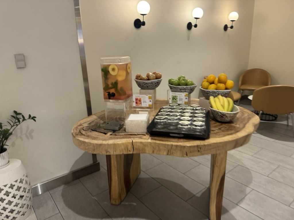 【ニューヨークJFK空港ANAラウンジ体験談】④HORIZONS T7 LOUNGEは快適？シャワーや食事・ドリンクは？