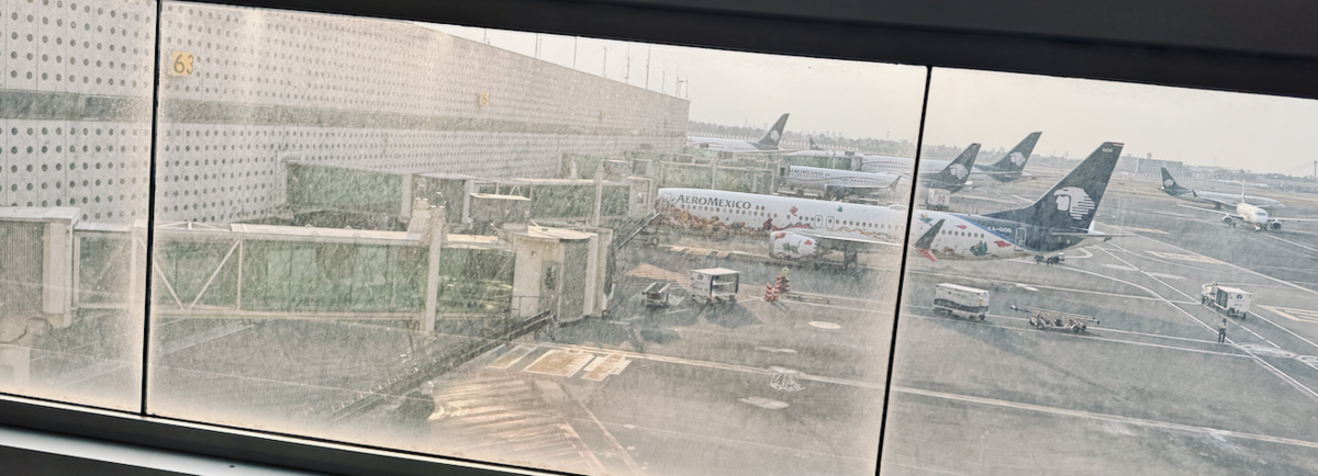 【はじめに】①アエロメヒコ航空とは？どんな航空会社？