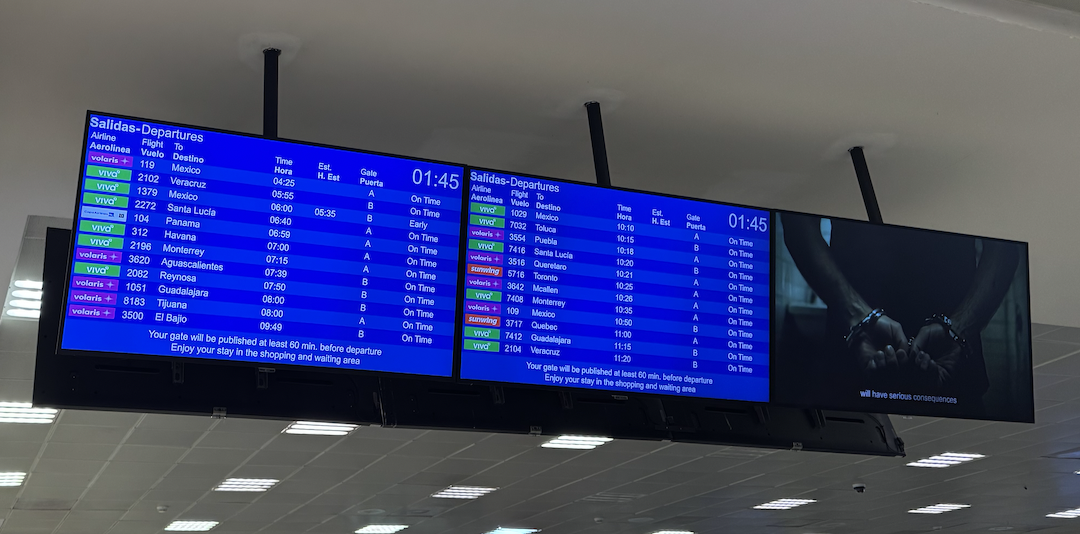 【はじめに】①ボラリス航空とは?どんな航空会社?