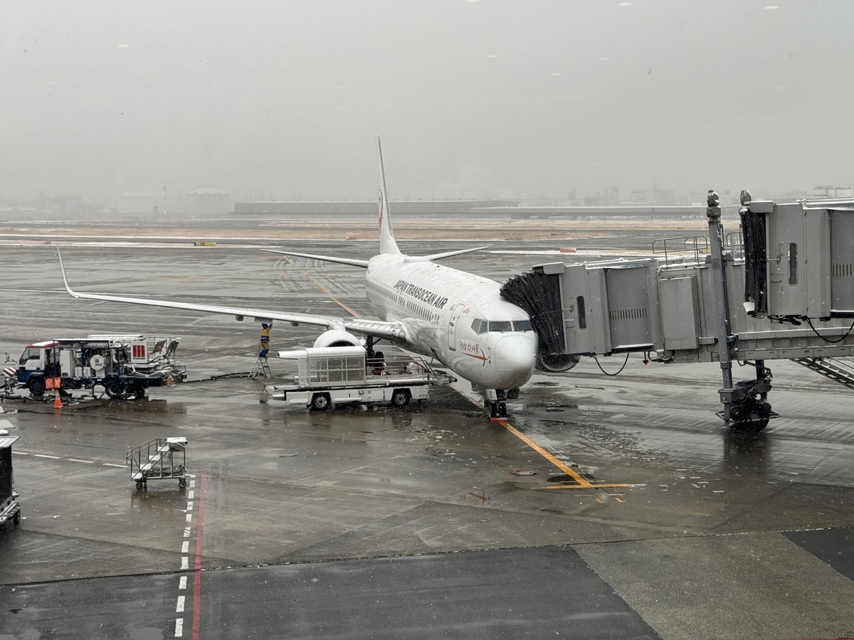 【羽田空港第1ターミナル パワーラウンジセントラル体験談】②羽田空港のターミナル構成は？