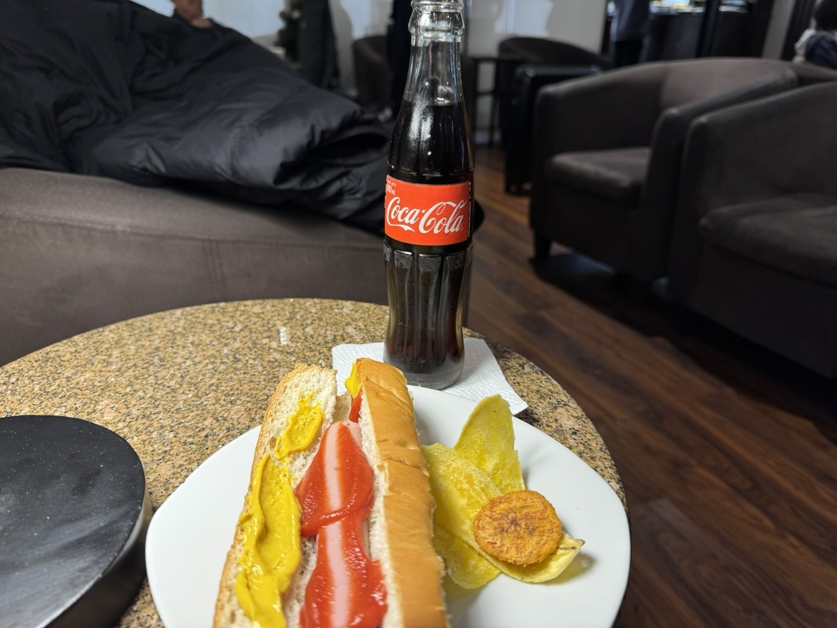 【ラパス空港プライオリティパス体験談】⑥ラパス空港のおすすめのプライオリティパス利用方法は?