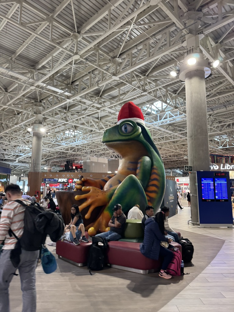 【リマ空港国内線ピアプライオリティパス体験談】②リマ空港のターミナル構成は?