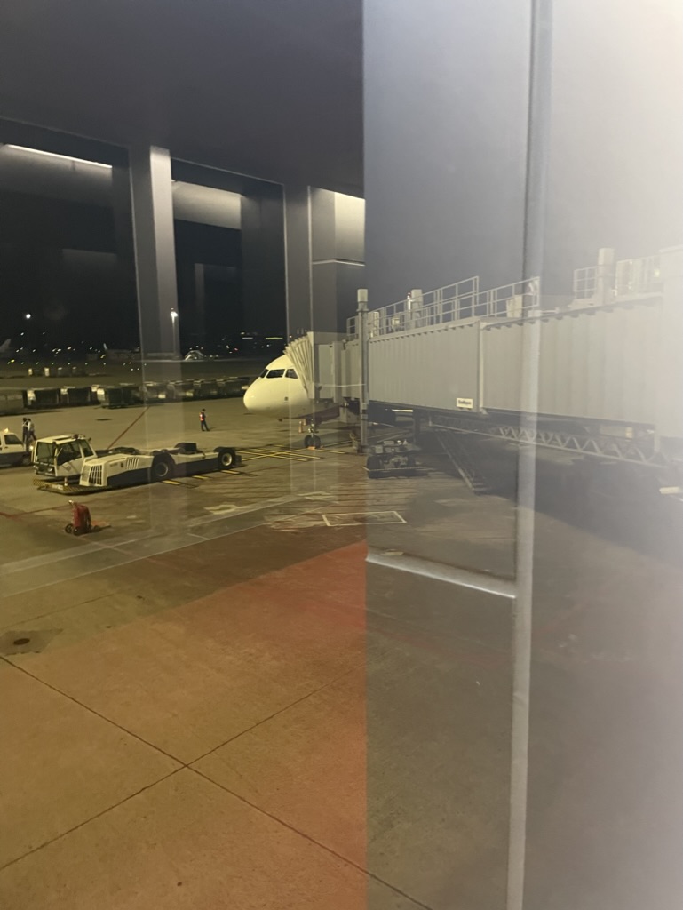 【香港旅行おすすめ航空会社】⑧ピーチ・アビエーション｜関西発で安く香港に行きたい人向け