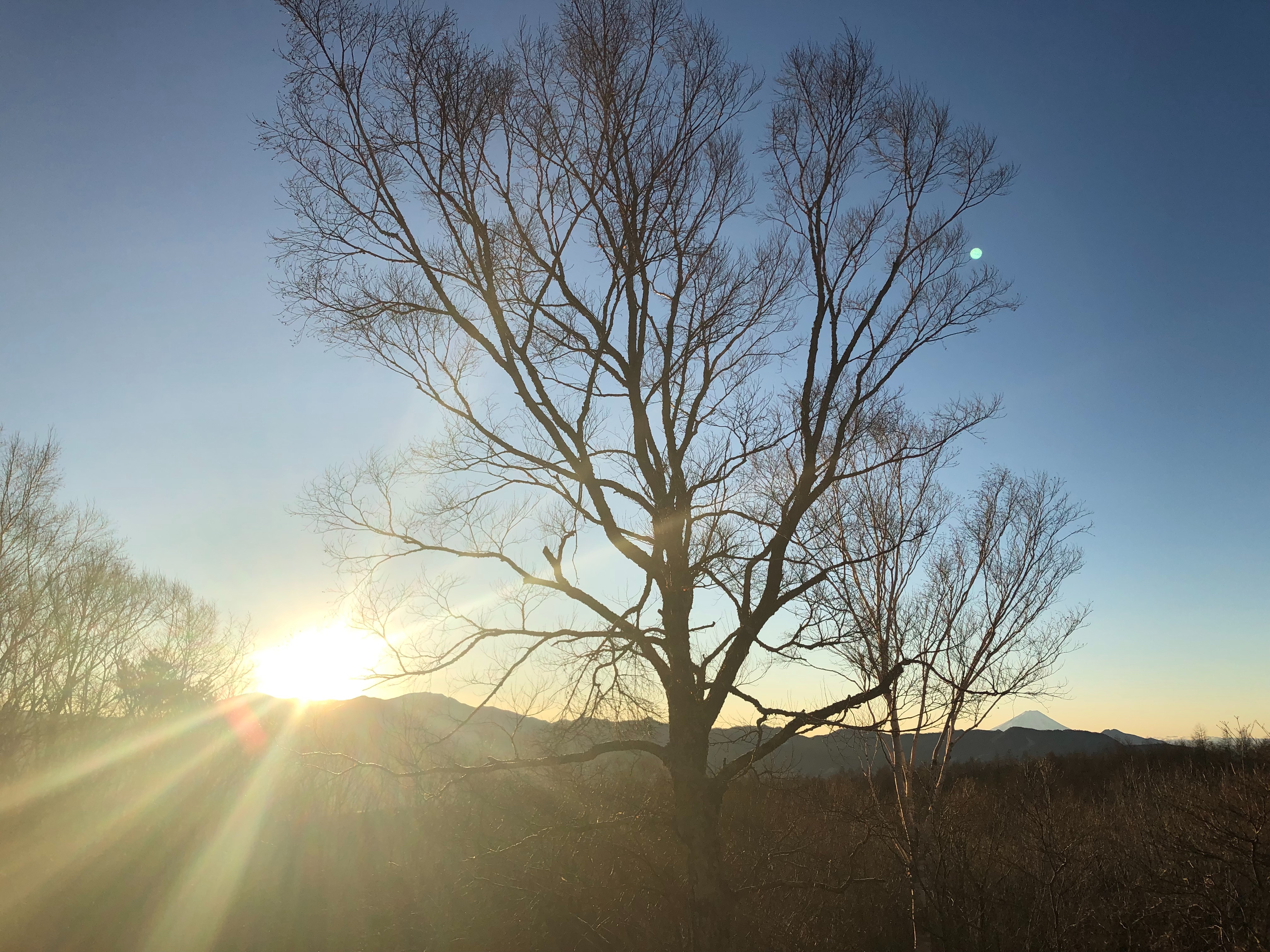 f:id:aiironokinomonogatari:20190105031655j:image f:id:aiironokinomonogatari:20190105031655j:image