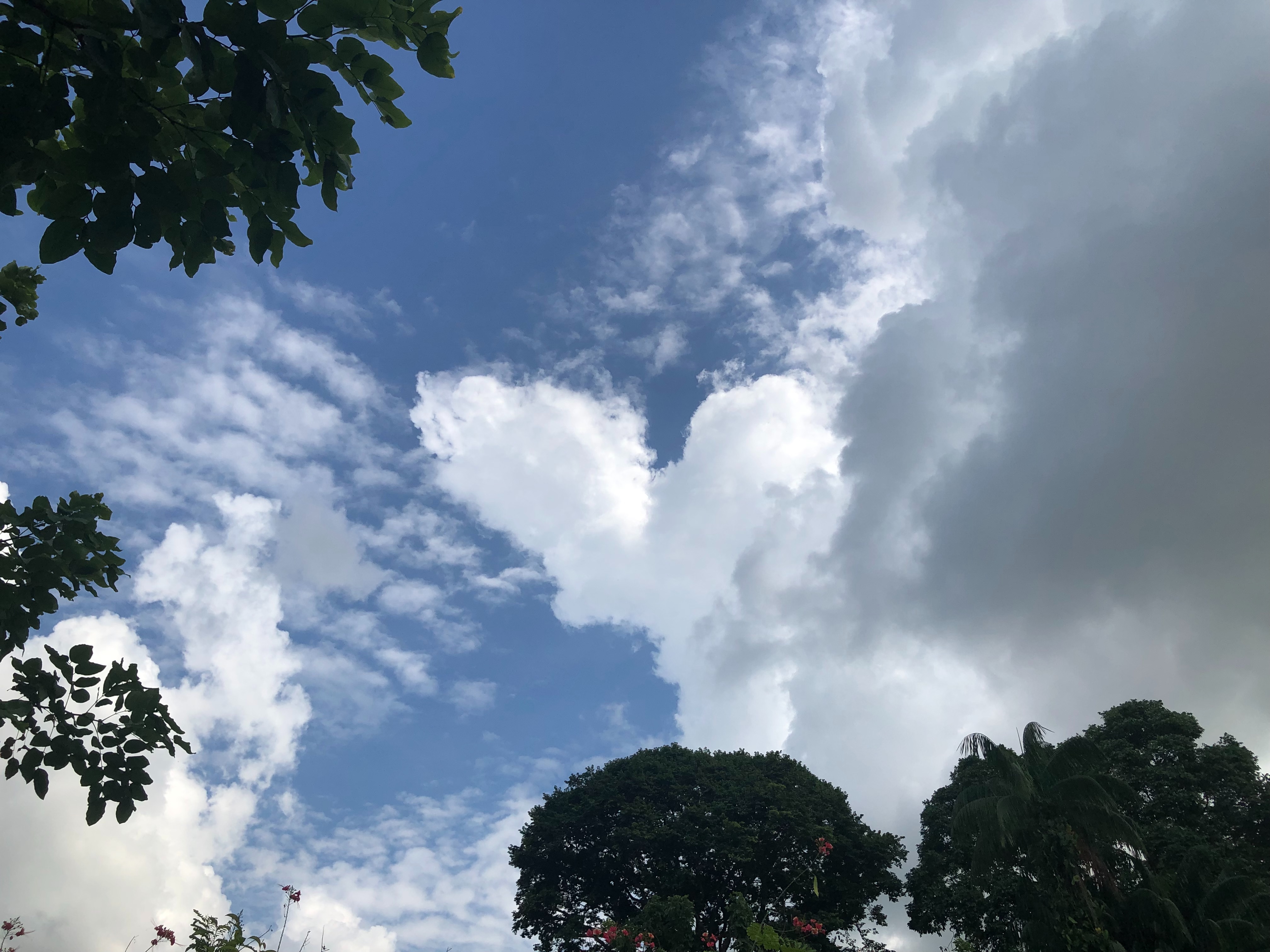 f:id:aiironokinomonogatari:20190523004841j:image f:id:aiironokinomonogatari:20190523004841j:image