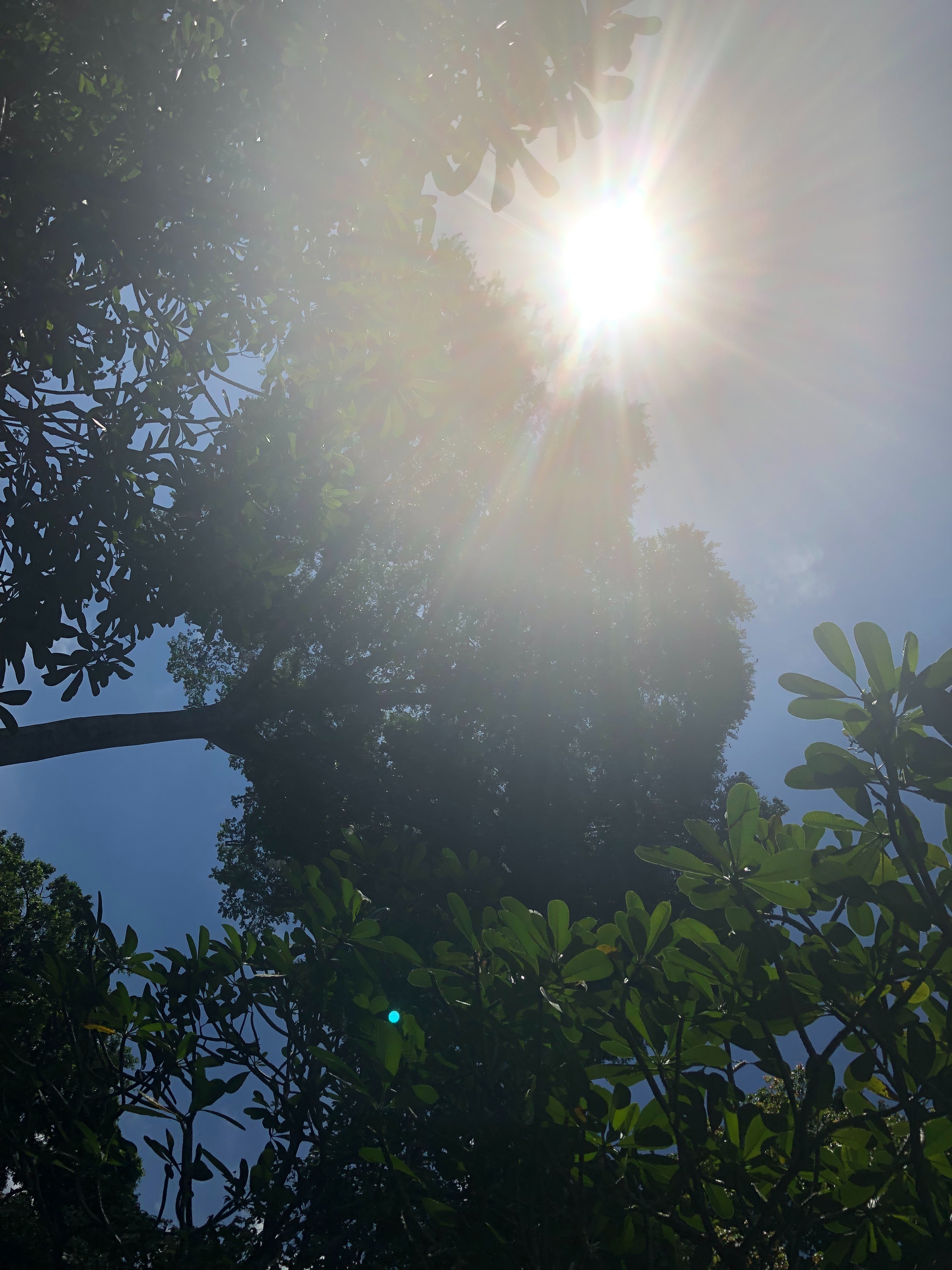 f:id:aiironokinomonogatari:20190526071945j:image f:id:aiironokinomonogatari:20190526071945j:image