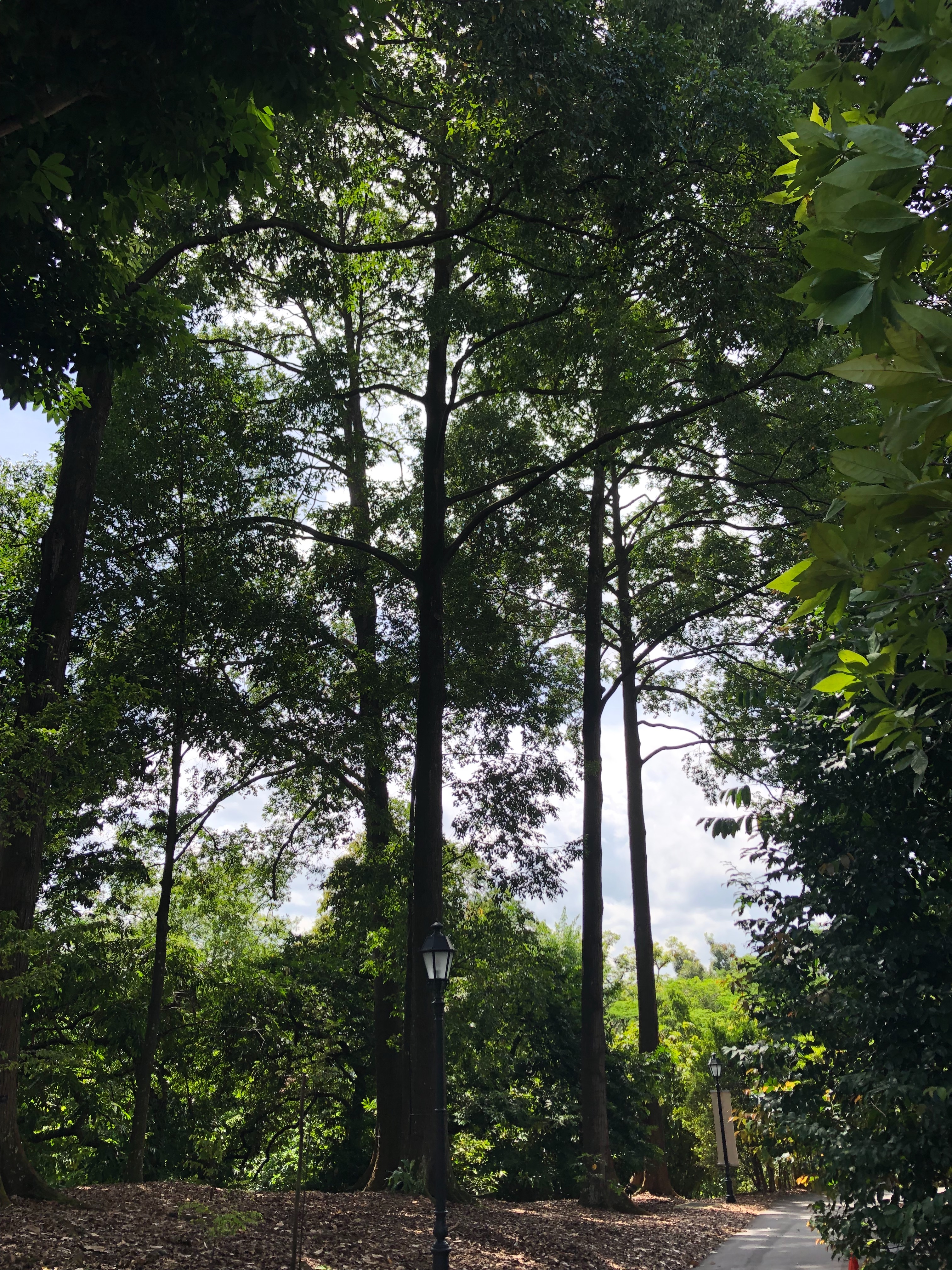f:id:aiironokinomonogatari:20190530070136j:image f:id:aiironokinomonogatari:20190530070136j:image