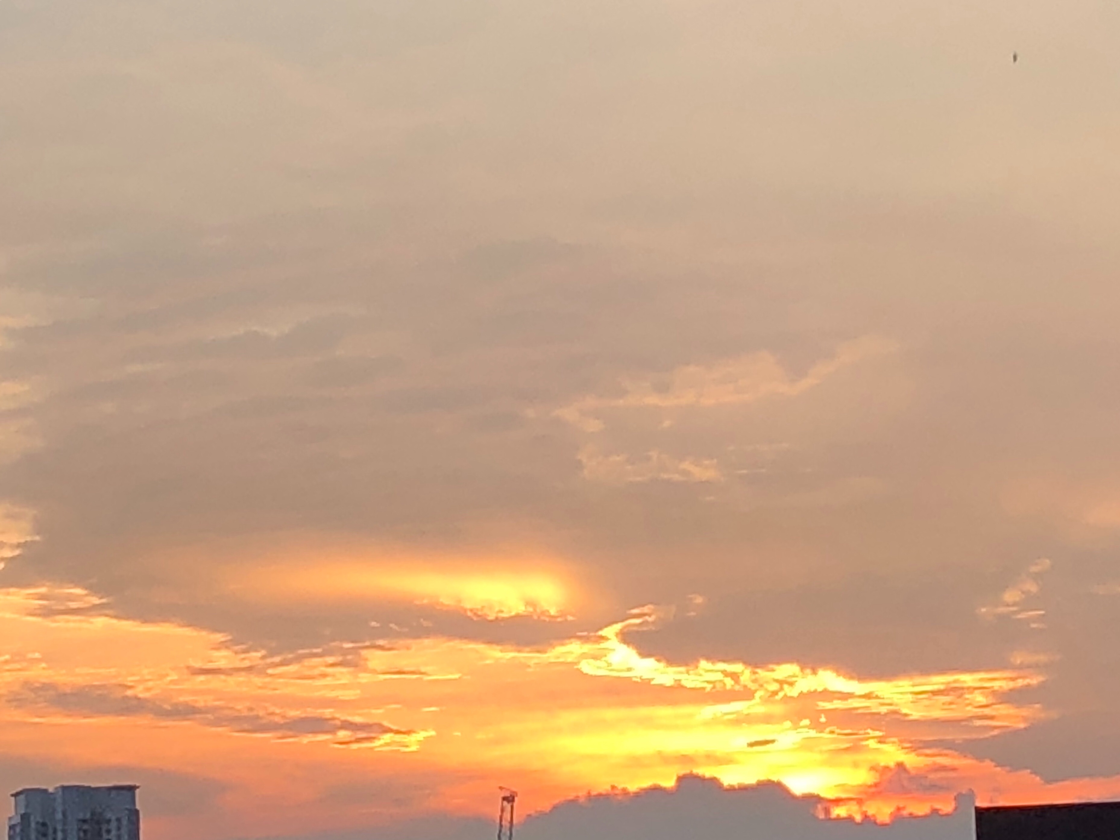 f:id:aiironokinomonogatari:20190619054310j:image f:id:aiironokinomonogatari:20190619054310j:image