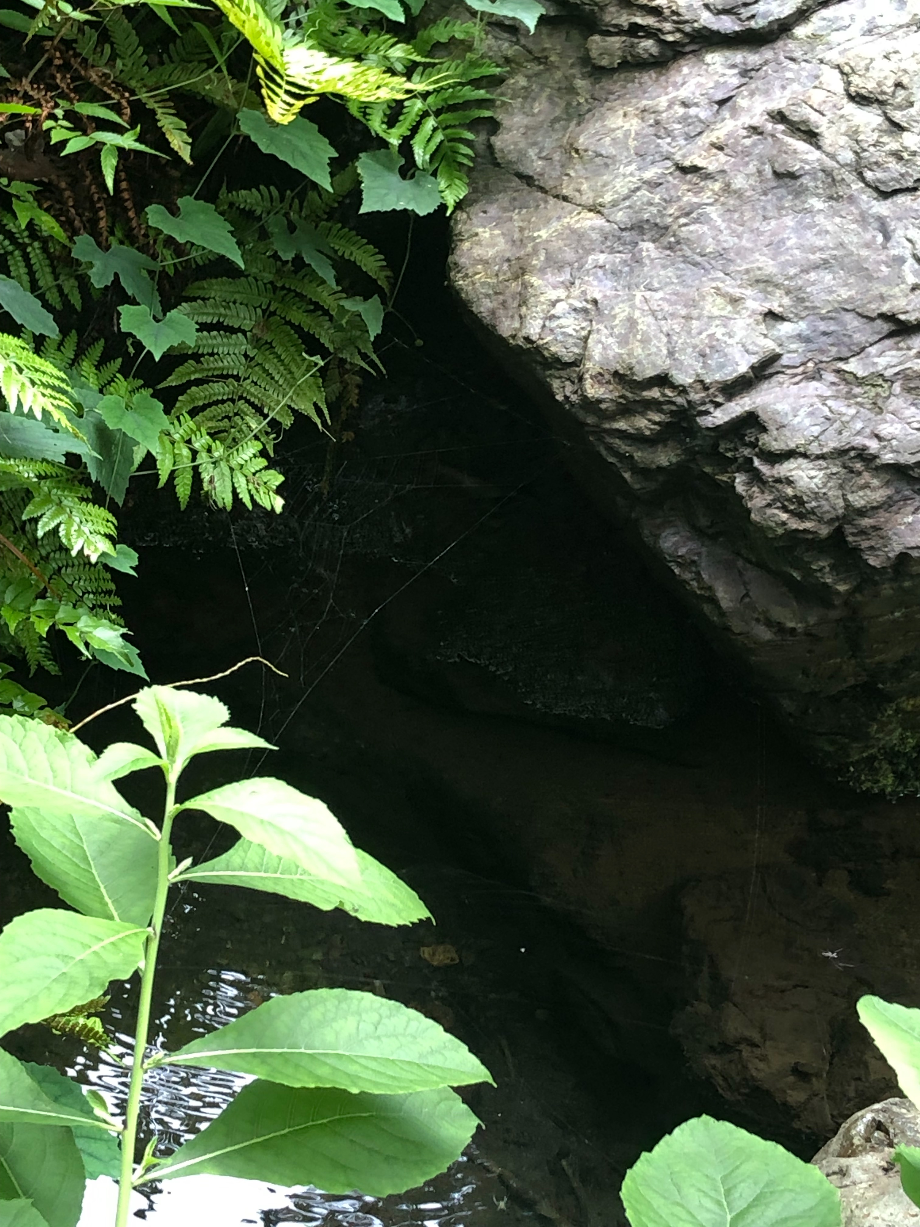 f:id:aiironokinomonogatari:20190720062958j:image f:id:aiironokinomonogatari:20190720062958j:image